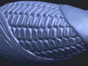 corn 3D-Druckmodell