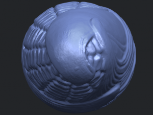 corn 3D-Druckmodell