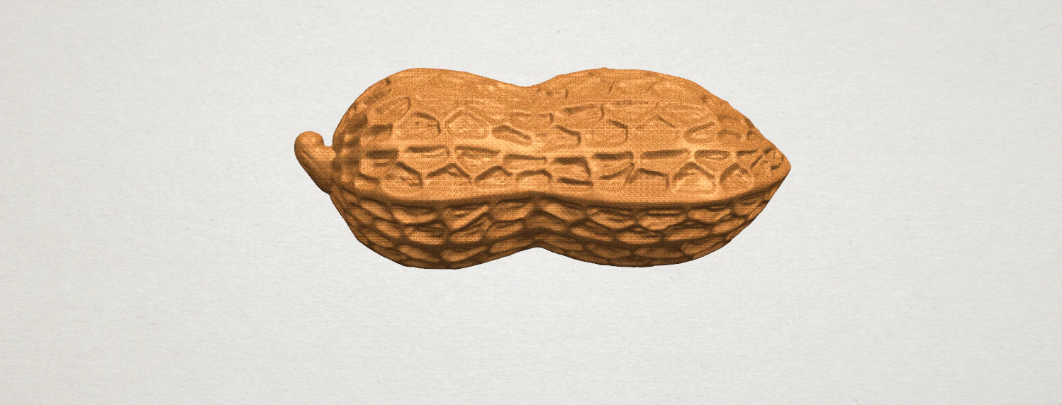 peanut 3D Print Model .c4d .max .obj .3ds .fbx .stl .blend 