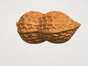 peanut Modelo de impresión 3D