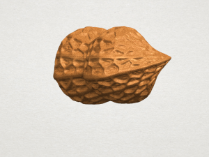 peanut Modelo de impresión 3D