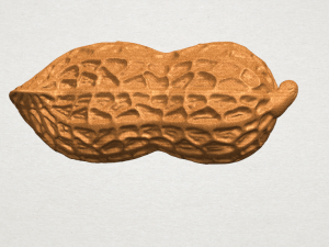 peanut Modelo de impresión 3D