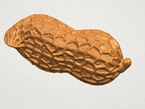 peanut Modelo de impresión 3D