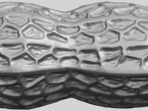 peanut Modelo de impresión 3D