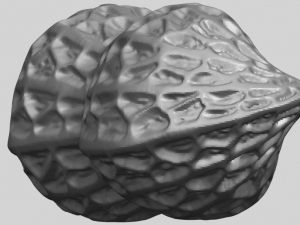 peanut Modelo de impresión 3D
