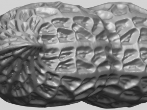peanut Modelo de impresión 3D