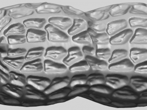 peanut Modelo de impresión 3D