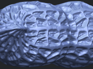 peanut Modelo de impresión 3D