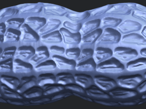 peanut Modelo de impresión 3D
