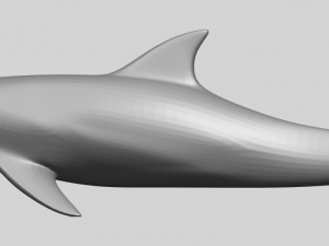dolphin 02 3Dプリントモデル