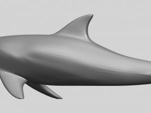 dolphin 02 3Dプリントモデル