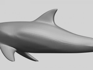 dolphin 02 3D Print Model