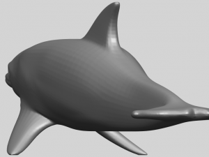 dolphin 02 3Dプリントモデル