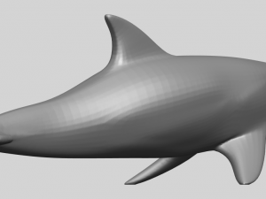 dolphin 02 3Dプリントモデル