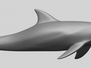 dolphin 02 3Dプリントモデル