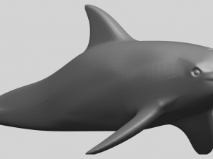 dolphin 02 3Dプリントモデル