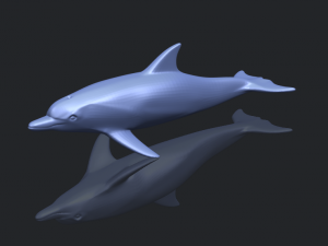 dolphin 02 3Dプリントモデル