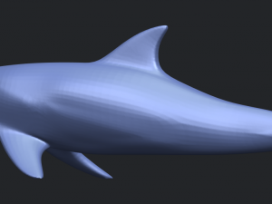 dolphin 02 3Dプリントモデル