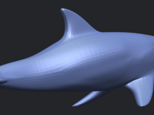 dolphin 02 3Dプリントモデル