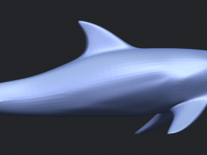 dolphin 02 3Dプリントモデル