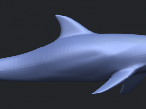 dolphin 02 3Dプリントモデル
