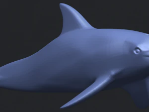 dolphin 02 3D Print Model
