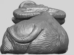 bull 04 buffalo 01 3D Print Model