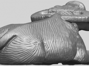 bull 04 buffalo 01 3D-Druckmodell