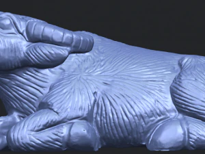 bull 04 buffalo 01 3D Print Model