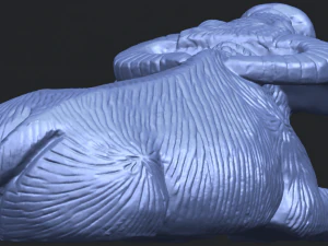bull 04 buffalo 01 3D Print Model