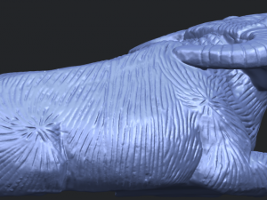 bull 04 buffalo 01 3D-Druckmodell
