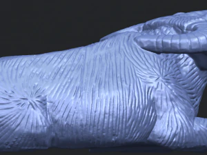bull 04 buffalo 01 3D Print Model