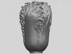 vegetable - fatt choi 02 3D Print Model