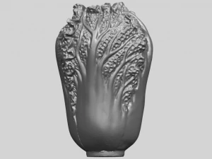 vegetable - fatt choi 02 3D Print Model