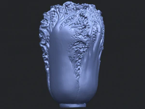 vegetable - fatt choi 02 3D Print Model