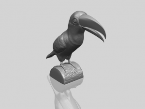 toucan bird 3D 프린트 모델