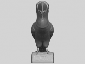 toucan bird 3D 프린트 모델