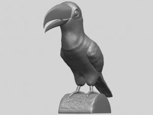 toucan bird 3D 프린트 모델
