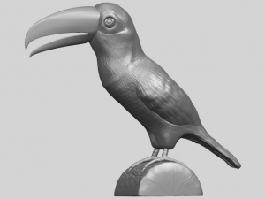toucan bird 3D 프린트 모델