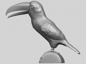 toucan bird 3D 프린트 모델