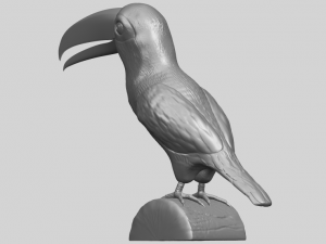 toucan bird 3D 프린트 모델