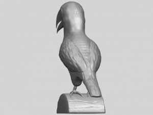 toucan bird 3D 프린트 모델