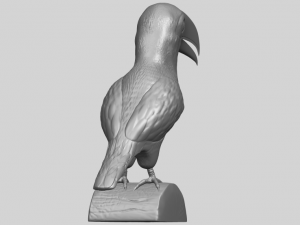 toucan bird 3D 프린트 모델