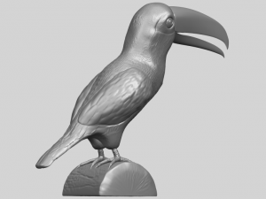 toucan bird 3D 프린트 모델