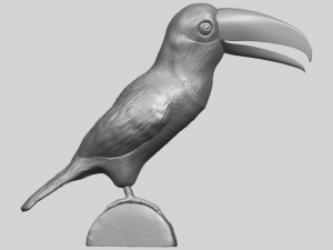 toucan bird 3D 프린트 모델