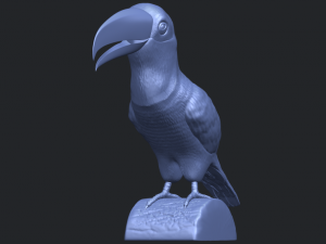 toucan bird 3D 프린트 모델
