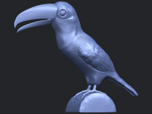 toucan bird 3D 프린트 모델