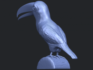 toucan bird 3D 프린트 모델