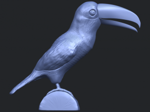 toucan bird 3D 프린트 모델