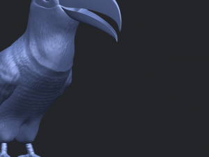 toucan bird 3D 프린트 모델